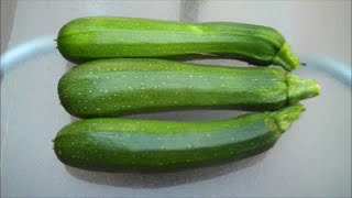 How to Grow Courgettes [upl. by Adnorat]