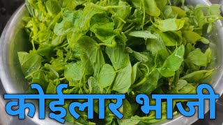 छत्तीसगढ़ का प्रसिद्ध कोईलार भाजी की स्वादिष्ट सब्जीChhattisgarh Famous Koilar Bhaji Ki Recipe🙏🙏 [upl. by Maretz]