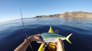 Pêche de la dorade coryphène en kayak Méditerranée [upl. by Josefa]