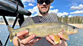 Walleye fishing Lake Roosevelt with Eric Magnuson [upl. by Ahsahtan]