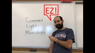 How to use a compound light microscope [upl. by Melvina]