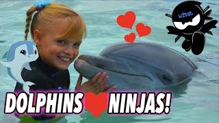 We Played and Swam with Dolphins Bahamas II Ninja Kidz TV [upl. by Attenyw115]