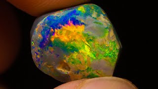 20k gem black opal emerges from this uncut rough opal [upl. by Mace898]