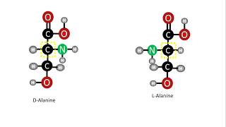 Biochemistry  D and L Enantiomers of amino acids [upl. by Bor19]