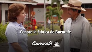 Conoce la fábrica de Buencafé Liofilizado [upl. by Arotahs]