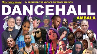 Dancehall Mix February 2022 DJ Treasure Dancehall Mix 2022  18764807131 [upl. by Enogitna]