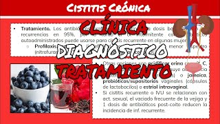 ⚕️🩺 CISTITIS CRÓNICA Síntomas Diagnóstico y Tratamiento [upl. by Ramuk]