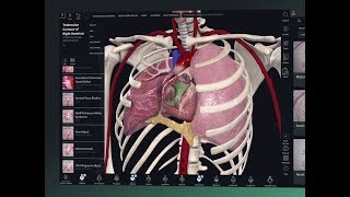 Getting Started with Complete Anatomy [upl. by Coulombe72]