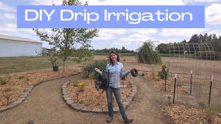 Beginner DIY Drip Irrigation Learning how to plan and install drip irrigation in a flower garden [upl. by Kciredes]