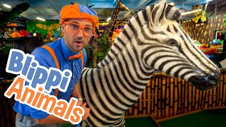 Blippi and Jungle Animals  Explore with BLIPPI  Educational Videos for Toddlers [upl. by Cathey242]