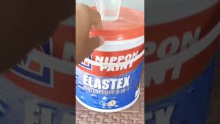 Cat Pagar dengan Nippon Elastex rumahminimalis nipponpaint rumahidaman [upl. by Wemolohtrab]