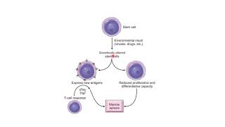 Aplastic anaemia [upl. by Baumbaugh]