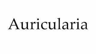 How to Pronounce Auricularia [upl. by Nived]