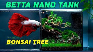 The Old Bonsai  Relaxing aquascaping tutorial blackwater tank [upl. by Madda]