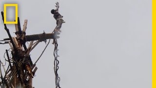 Amazing POV Jump With the Original Bungee Jumpers  National Geographic [upl. by Elyk]