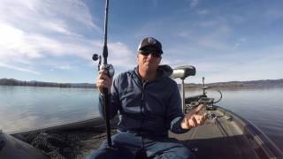 Best Big Swimbait Rod Gear Review [upl. by Condon]