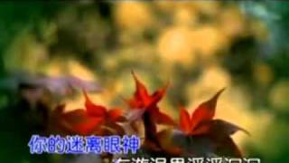 鄭源 愛上別人的人 [upl. by Aretha]