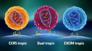 Resistance HIV amp AIDS  CCR5 amp CXCR4 Eng CCR5delta32  CCR5 tropic Dual tropic CXCR4 tropic [upl. by Einnok238]