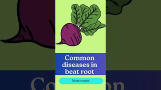 Common diseases in beet root [upl. by Emad]