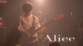 緑黄色社会『Alice』LIVE [upl. by Karolyn610]