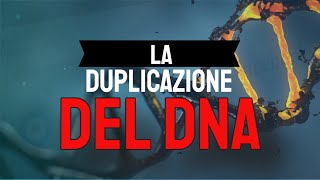 La duplicazione del DNA 🧬 [upl. by Suzanne513]