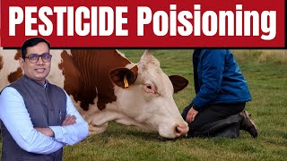 Insecticide  Pesticides  OP Poisoning  जानवरों में कीटनाशक जहर के लक्षण एवं उपचार [upl. by Hornstein]