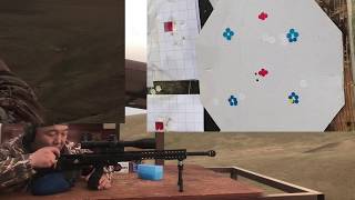 Desert Tech SRS65 CM300 meters challenge5 shots 375 cm group [upl. by Clayton]