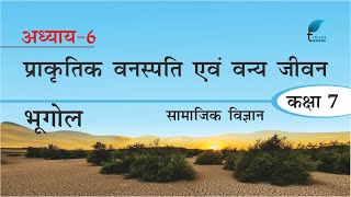 NCERT Solutions for Class 7 Social Science Geography Chapter 6 in Hindi Medium [upl. by Tarrsus]