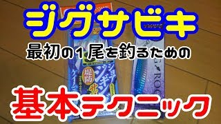 【ジグサビキ】初心者 の方必見 最初の１尾を釣るための簡単 基本テクニックをご紹介 ジグサビキ入門 [upl. by Leggett462]