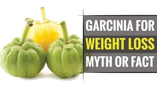 Does Garcinia Cambogia helps in Quick Weight Loss [upl. by Agnola177]