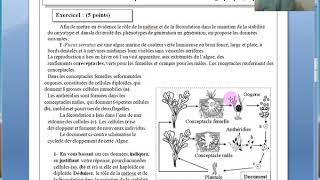 SVTexercice cycle de developpement de lalgue fucus serratis2bac sc math [upl. by Threlkeld472]