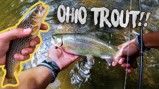 Ohio Trout Fishing Clear fork Mohican [upl. by Nivi630]