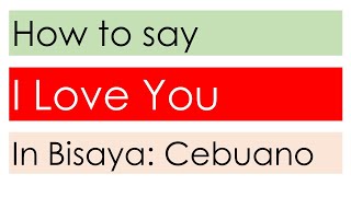 How to say I love you in Bisaya  English  Bisaya [upl. by Colon]