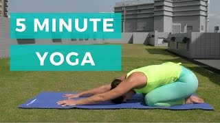 5 minute yoga  Beginners yoga [upl. by Aradnahc]