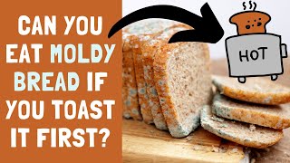 Can You Eat Moldy Bread If You Toast It [upl. by Yelrah869]