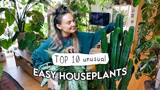 10 EASIEST Unusual Indoor Plants 🌱 Easy Houseplants Even YOU Cant Kill [upl. by Akamaozu]