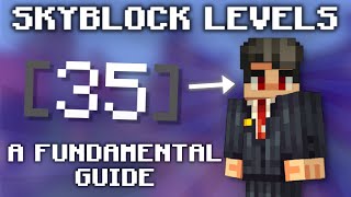 Skyblock Levels A Fundamental Guide Hypixel Skyblock [upl. by Enomed]