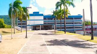 Yabucoa City Hall PR 🇵🇷🏢 Casa Alcaldia Municipio de Yabucoa [upl. by Euqinaj]