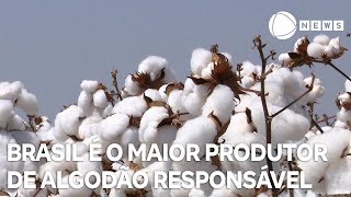 Brasil é o maior produtor de algodão responsável [upl. by Calendra340]