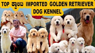 Call 9035585518 ಬೆಂಗಳೂರಿನ Top ಕ್ವಾಲಿಟಿ Imported Golden Retriever Dog Kennel [upl. by Fitz958]