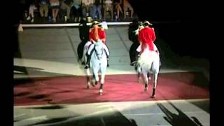 Lipizzaner Stallion Show  Las Vegas 2006 [upl. by Nodroj]