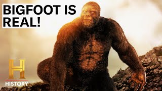 4 SHOCKING BIGFOOT SIGHTINGS  The Proof is Out There [upl. by Northrop]