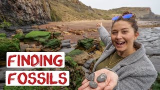 Finding Fossils In Whitby Yorkshire  Traditional Seaside Town  England Road Trip Travel Vlog 23 [upl. by Bratton831]