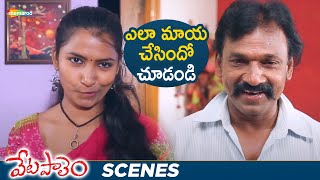 Lady Tempts Uncle  Vetapalem Romantic Thriller Telugu Movie  Shilpa  Lavanya  Shemaroo Telugu [upl. by Ebenezer663]