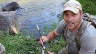 Cooking and cleaning a trout  How to for the pan [upl. by Nauqit]