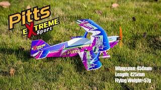 Micro 450mm RC Foamy Biplane DW Pitts [upl. by Warfore]