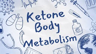 ketone body metabolismMADE EASY [upl. by Erodasi]