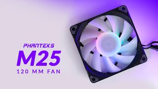 Phanteks M25 120mm  This Is How Radiator Fans Should Be [upl. by Pepin839]