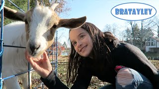 Annies Backyard Birthday  Traveling Petting Zoo WK 2575  Bratayley [upl. by Rori]