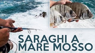 La PESCA dei Saraghi a MARE Molto MOSSO [upl. by Lamej]